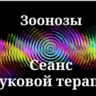 Зоонозы _ Сеанс звуковой терапии