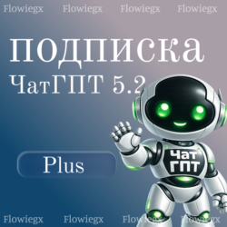 ChatGPT PLUS 5.5   SORA  НА ВАШ НОВЫЙ ИЛИ СТАРЫЙ АККАУНТ | 1 месяц