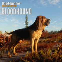 theHunter: Call of the Wild™ - Bloodhound | XBOX | На любой аккаунт