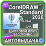 CorelDRAW Standard 2020 пожизненный ключ активации ( глобальный )