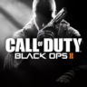 Call of Duty®: Black Ops II - Customization Bundle | PC | На любой аккаунт