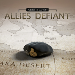 Order of Battle: Allies Defiant | XBOX | На любой аккаунт