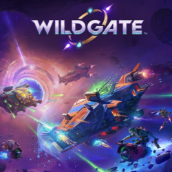 Wildgate (Ключ Steam | РФ СНГ)