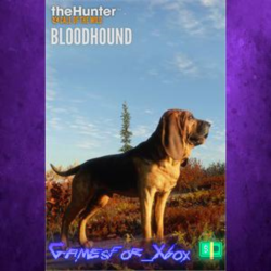 ☀️theHunter Call of the Wild - Bloodhound XBOX DLC