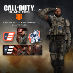 Call of Duty®: Black Ops 4 - C.O.D.E. Salute Pack | XBOX | На любой аккаунт
