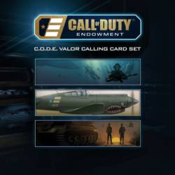 Call of Duty®: Black Ops III - C.O.D.E. Valor Calling Cards | XBOX | На любой аккаунт