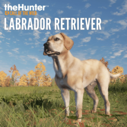 theHunter: Call of the Wild™ - Labrador Retriever | XBOX | На любой аккаунт
