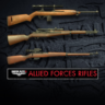 Sniper Elite 4 - Allied Forces Rifle Pack | XBOX | На любой аккаунт