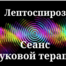 Лептоспироз _ Сеанс звуковой терапии