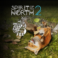 Spirit of the North 2: SaveAFox Pack | XBOX PC | На любой аккаунт