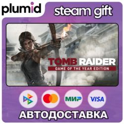 Tomb Raider Game of the Year Steam Gift / Россия   МИР / АВТО