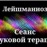Лейшманиоз _ Сеанс звуковой терапии