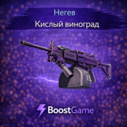 Негев | Кислый виноград ОТПРАВКА ТРЕЙДОМ