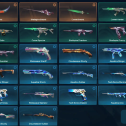 VALORANT | Comet Sword | Catrina | Shellspire Sword | 27 скинов | 79 LVL