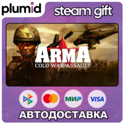 ARMA: Cold War Assault Steam Gift / Россия   МИР / АВТО