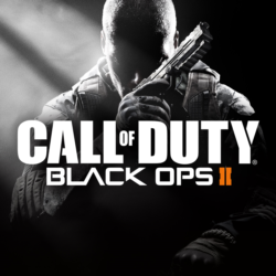 Call of Duty®: Black Ops II (2012) | PC | На любой аккаунт