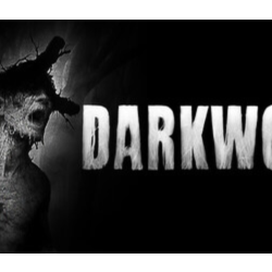 Darkwood / Steam Ключ / РФ СНГ | АВТОВЫДАЧА 24/7