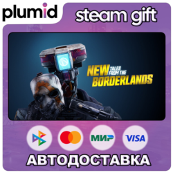 New Tales from the Borderlands Steam Gift / Россия   МИР / АВТО