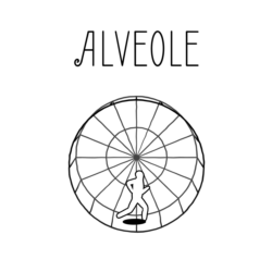 Alveole | XBOX | На любой аккаунт