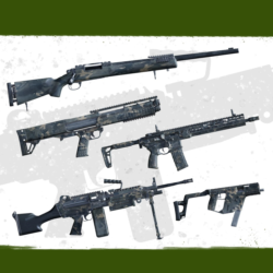 Insurgency: Sandstorm - Night Raven Weapon Skin Set | XBOX PC | На любой аккаунт