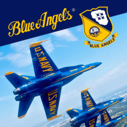 Blue Angels Aerobatic Flight Simulator | XBOX | На любой аккаунт