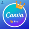 Подписка Canva Pro на 6 месяцев — личный аккаунт (глобальный)