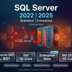 Ключ SQL Server 2022 2025 Standard Enterprise лицензия