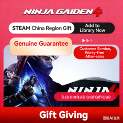 Официальный релиз Steam | Ninja Gaiden IV | Подарок | Китай