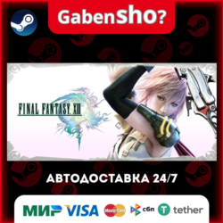 FINAL FANTASY® XIII СТИМ Steam Gift