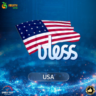 VPN США    (vless / tcp · xhttp) · 1-6m · DNS DoH