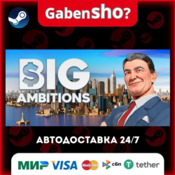 Big Ambitions СТИМ Steam Gift