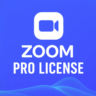 Подписка Zoom Workplace Pro на 1–12 месяцев — подписка на ваш аккаунт