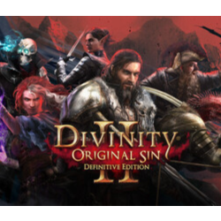 Divinity: Original Sin 2 - Divine Edition | ПОДАРОК STEAM