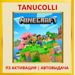 Minecraft (PS5/RU) П3 - Активация