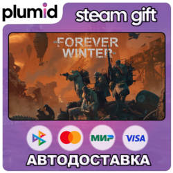The Forever Winter Steam Gift / Россия   МИР / АВТО
