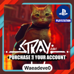 Stray – PlayStation (PSN) – Purchase in Your Account