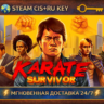 Karate Survivor    STEAM Ключ | (СНГ РФ)
