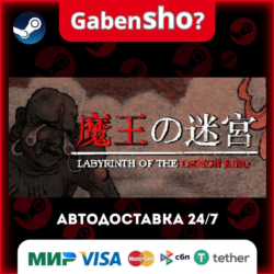 Labyrinth Of The Demon King СТИМ Steam Gift