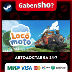 Locomoto СТИМ Steam Gift
