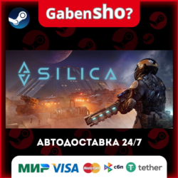 Silica СТИМ Steam Gift