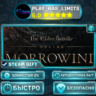 The Elder Scrolls Online: Standard Edition *RU/BY/UA/СНГ Steam Auto