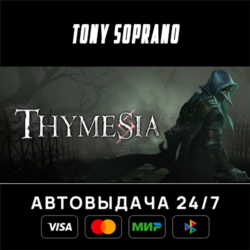 Thymesia STEAM GIFT