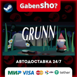 Grunn СТИМ Steam Gift