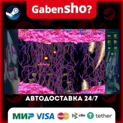 GRADIUS ORIGINS СТИМ Steam Gift