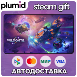 Wildgate Steam Gift / Россия   МИР / АВТО