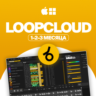 LOOPCLOUD [ПОДПИСКА НА 1-3 МЕСЯЦА] ВСЕ ПЛАНЫ
