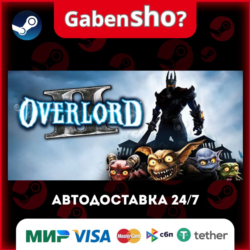 Overlord II СТИМ Steam Gift