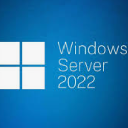 Стандарт Windows Server 2022  Партнер Microsoft