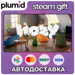 Hozy Steam Gift / Россия   МИР / АВТО