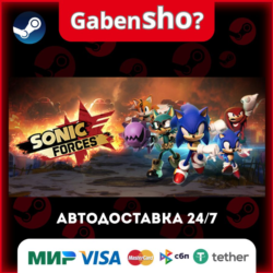 Sonic Forces СТИМ Steam Gift